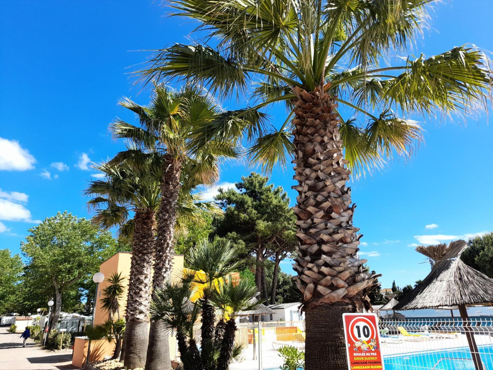 Camping Les Jardins D'Agathe - Maeva Le Grau-dʼAgde Eksteriør bilde